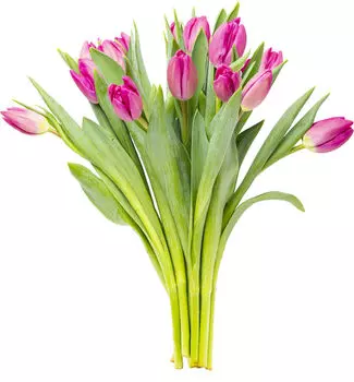 Тюльпаны букет 15шт в ассортименте