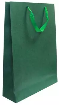 Упаковка бумажная Принчипесса PAK002 45.5*33*10см в ассортименте