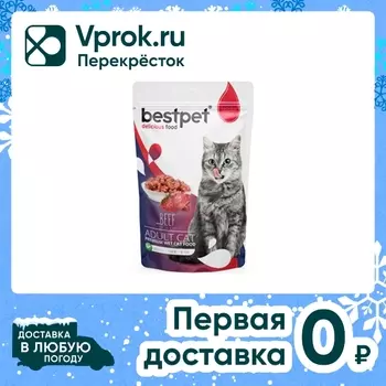 Влажный корм для кошек Bestpet с говядиной 85г*24шт