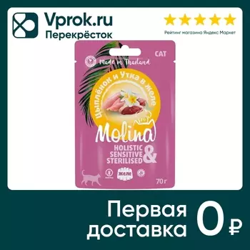 Влажный корм для кошек Molina Цыпленок и утка в желе 70г