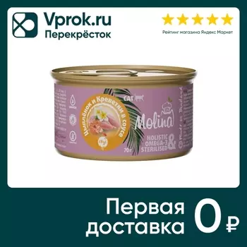 Влажный корм для кошек Molina Цыпленок и креветки в соусе 70г