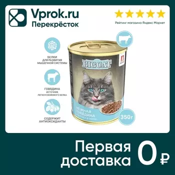 Влажный корм для кошек Зоогурман Big Cat с говядиной 350г
