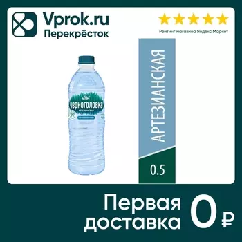 Вода Черноголовка артезианская негазированная 500мл
