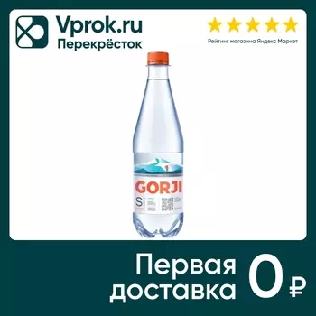 Вода Gorji минеральная лечебно-столовая газированная 500мл