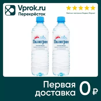 Вода Пилигрим питьевая негазированная 250млс доставкой!