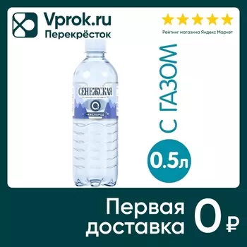 Вода Сенежская + Кислород природная питьевая газированная 500мл