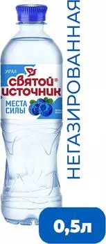 Вода Святой Источник Места силы Урал со вкусом ирги голубики и экстрактом черники негазированная 500мл