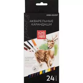 Набор акварельных карандашей Аква-колор 626237