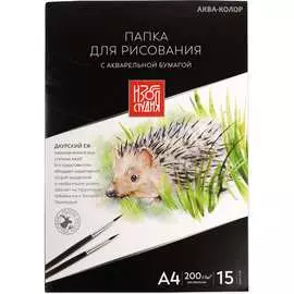635506