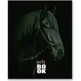 683796