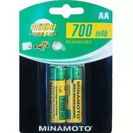 Аккумулятор MINAMOTO