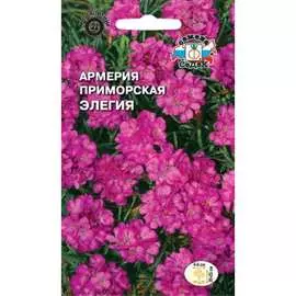 Армерия семена СеДек