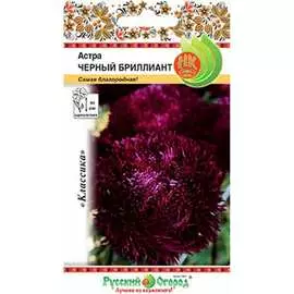 Астра семена РУССКИЙ ОГОРОД