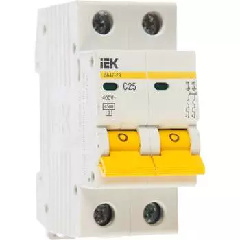 Автомат IEK ВА47-29 2п, C, 25А, 4.5кА MVA20-2-025-C