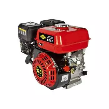 Бензиновый двигатель DDE E550-Q19 792-841