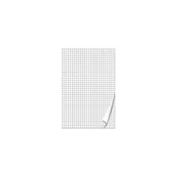 Блокнот для флипчарта BRAUBERG 128645