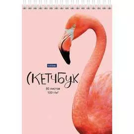 Блокнот Hatber Premium SketchBook 66493