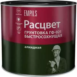 Быстросохнущая грунтовка Расцвет ГФ-021 73562