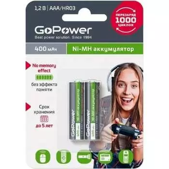 Бытовой аккумулятор GoPower