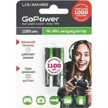 Бытовой аккумулятор GoPower