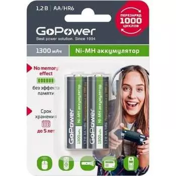 Бытовой аккумулятор GoPower