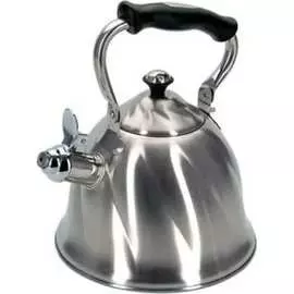 Чайник Regent inox