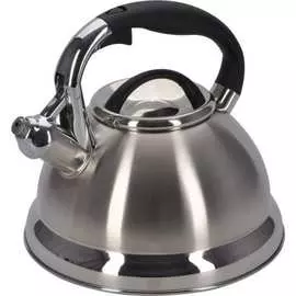 Чайник Regent inox
