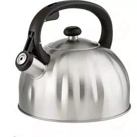Чайник Webber