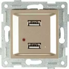 Двойной механизм розетки GUSI Electric Ugra С11USB2-027