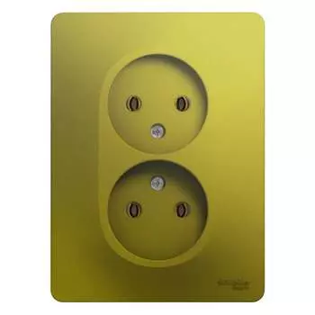 Двухместная розетка Systeme Electric GLOSSA GSL001020