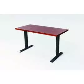 Двухмоторный стол StolStoya ТИТАН SE221IBKD12065