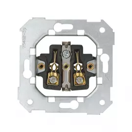 Двухполюсная розетка Simon 75432-39