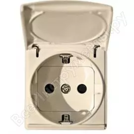 Двухполюсная розетка Simon S27 27490-32