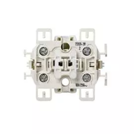 Двухполюсный выключатель Simon Loft 73131-0039