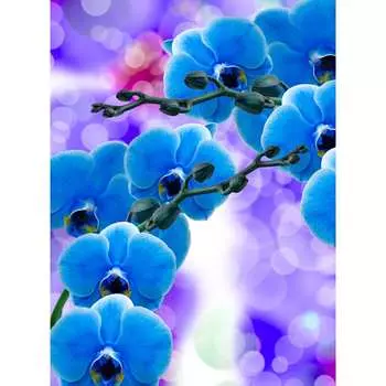 Фотообои DIVINO