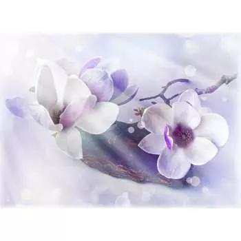 Фотообои DIVINO