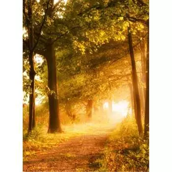 Фотообои Студия фотообоев