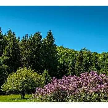 Фотообои Студия фотообоев