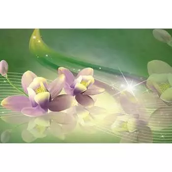 Фотообои Студия фотообоев