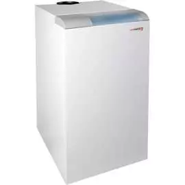 Газовый напольный котел protherm медведь 30 tlo