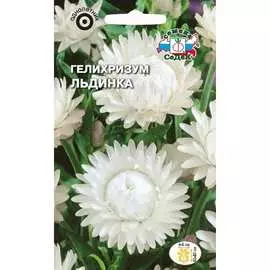 Гелихризум семена СеДек