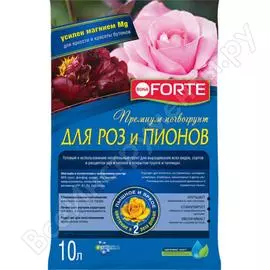 Грунт Bona Forte BF29010111