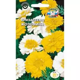 Хризантема семена СеДек