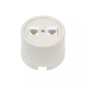 Информационная двойная розетка Bironi B1-302-211