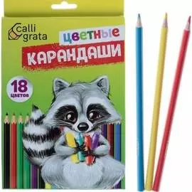 Карандаши Calligrata