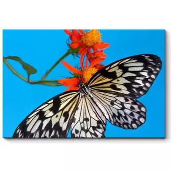 Картина Picsis 877-11362068