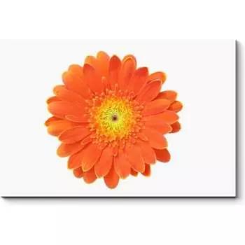 Картина Picsis 5950-13184375
