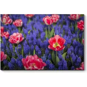 Картина Picsis 648-9925579