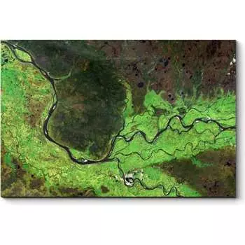 Картина Picsis 3488-10856439