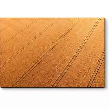 Картина Picsis 6381-13207929